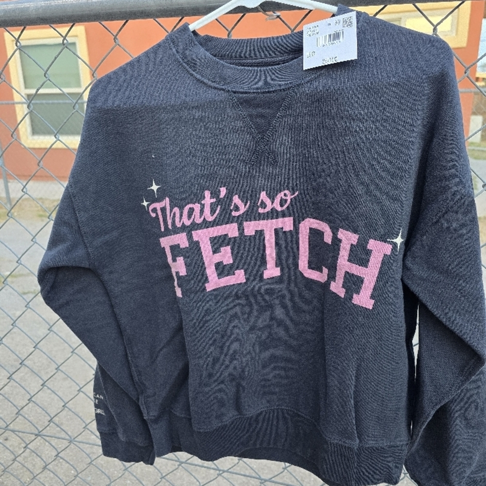 American Eagle Outfitters Gray Crew Neck Sweater